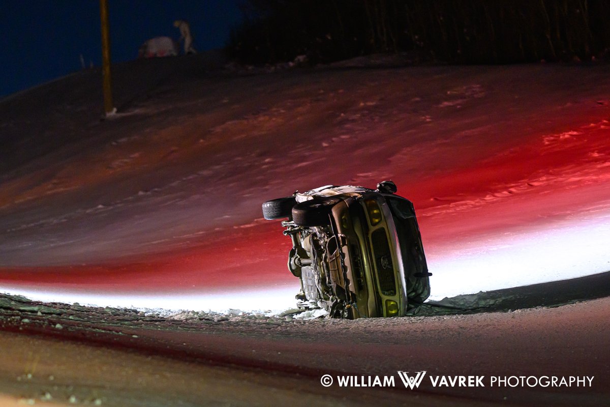 William Vavrek tweet media