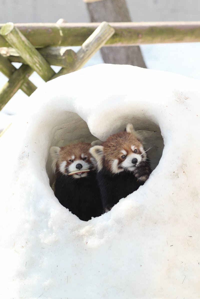 Post by 桜華 on X: 円実ちゃん😂