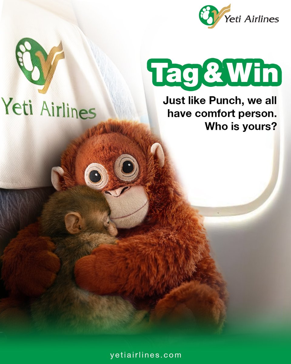 Yeti Airlines tweet media