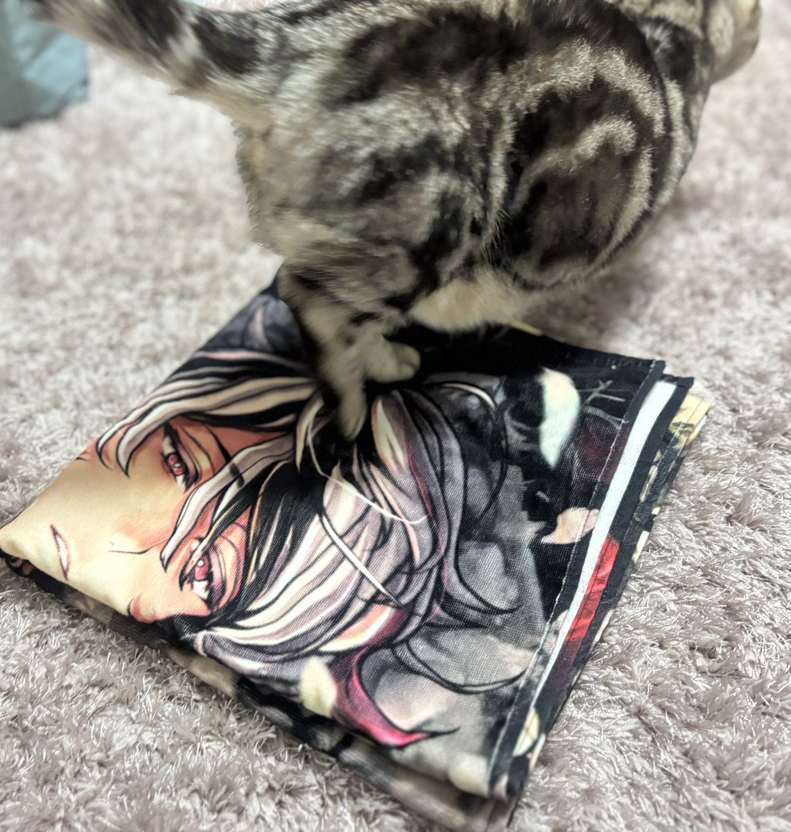 39造 (@mosa_suma_39zo) / Posts / X