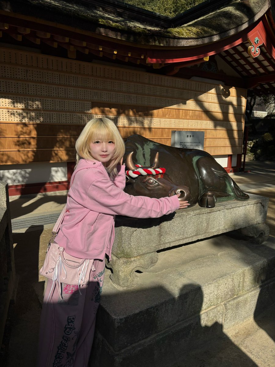 ここな (@cocona_kamone) / Posts / X