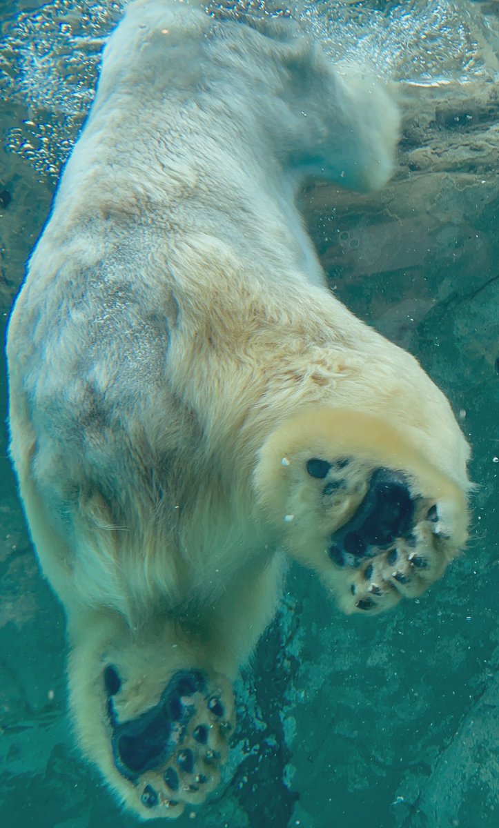 誰のおちりでしょう🩷