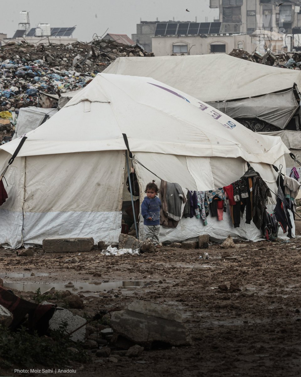 WitnessEye_Ch's tweet photo. 🟡 Heavy rains affected thousands of Palestinian families struggling to survive in makeshift tents.
🗓️ 24.02.2026
📍 Deir al Balah, Gaza https://t.co/d1qJAg7NuX