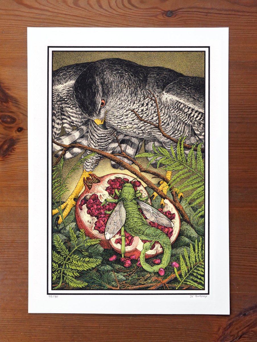 Ze Burnay tweet media