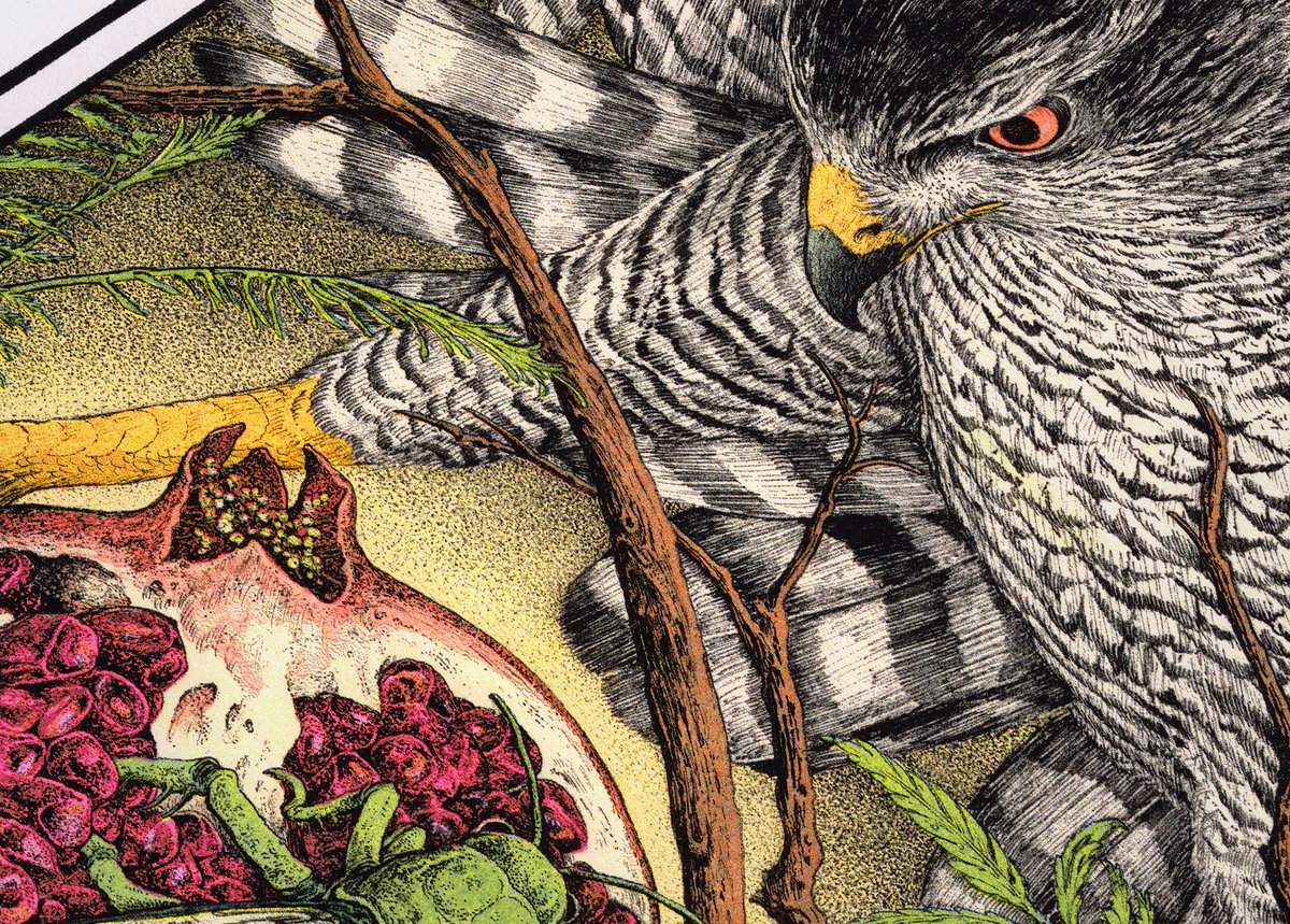 Ze Burnay tweet media