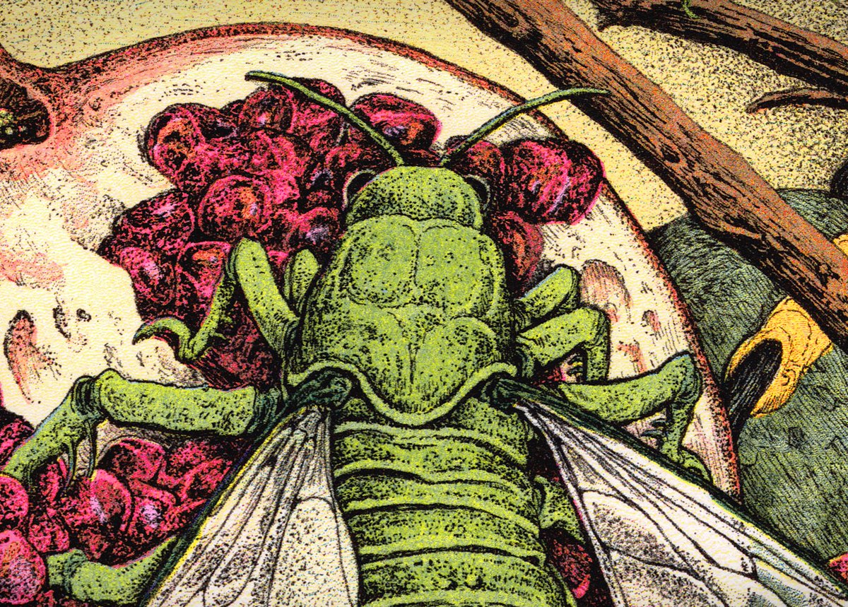 Ze Burnay tweet media