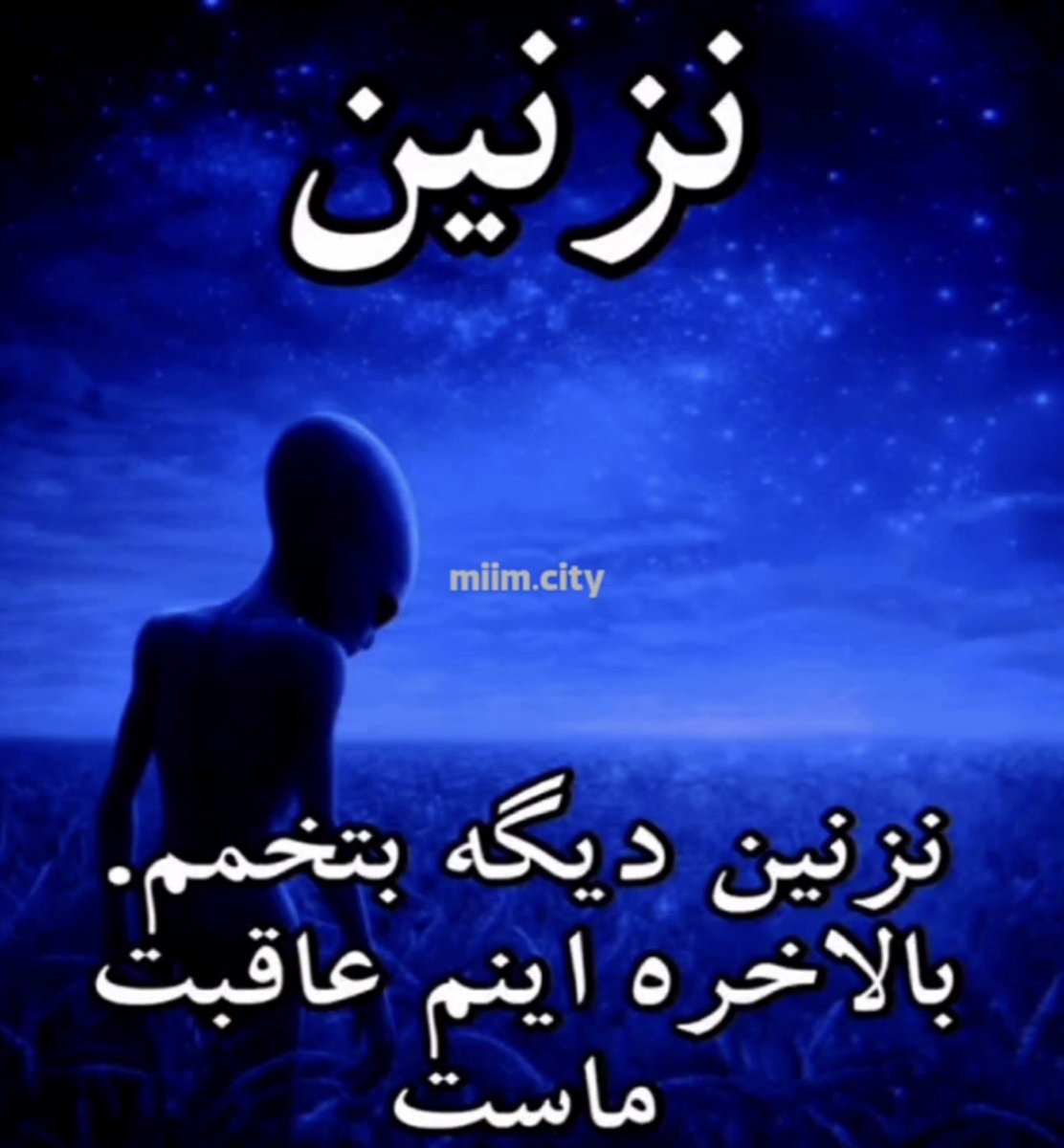 والترک 🇺🇸🇮🇷 tweet media