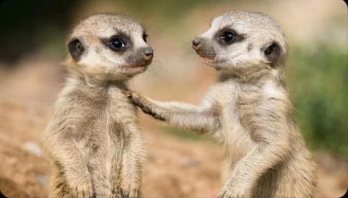 Never go through a man's phone even if you want to check time, use the sun 🌞🌞😁😅🤣😂🙌✌️