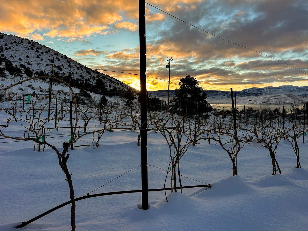 We received about 16” of snow a few days ago. Now it’ll be 68 degrees on Friday, 25 degrees above normal.