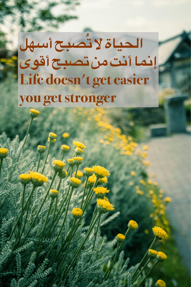 الحياة لا تُصبح أسهل
 إنما أنت من تصبح أقوى 
Life doesn't get easier
you get stronger