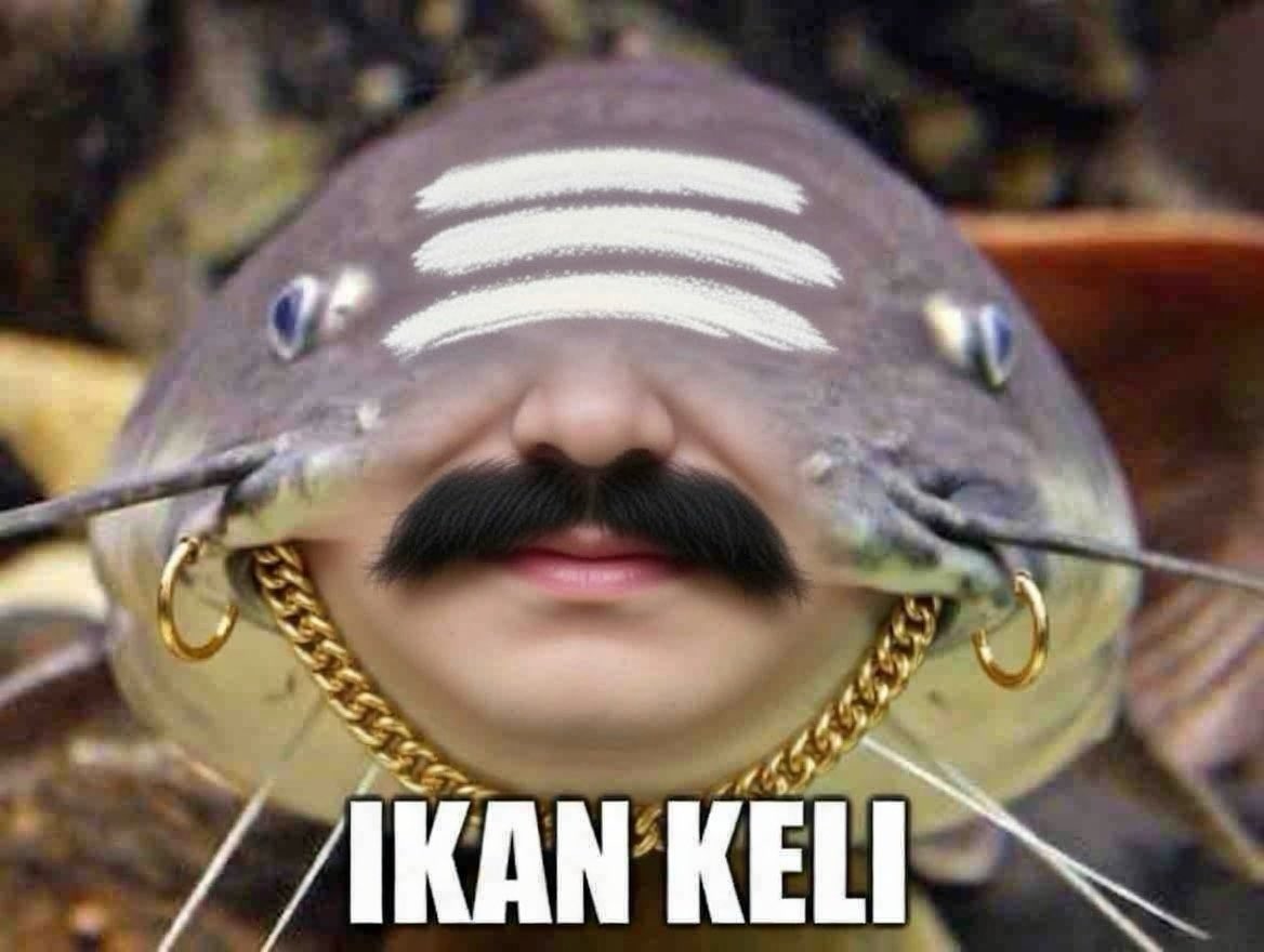 Fendi #RobohKuilHaram tweet media