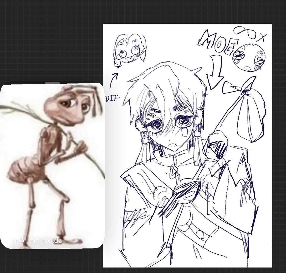 ZANKA IS OVERLOADED WITH KAWAINESS COME OM PEOPLE