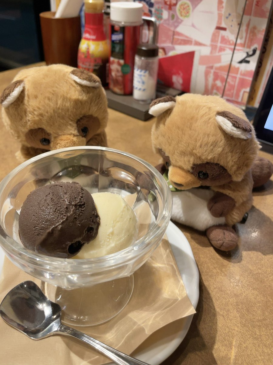 たぬきさん色のアイスを〆に頼んでみたよ！
あったかい店内で食べるアイスはきっとおいしいよ🤎🤍