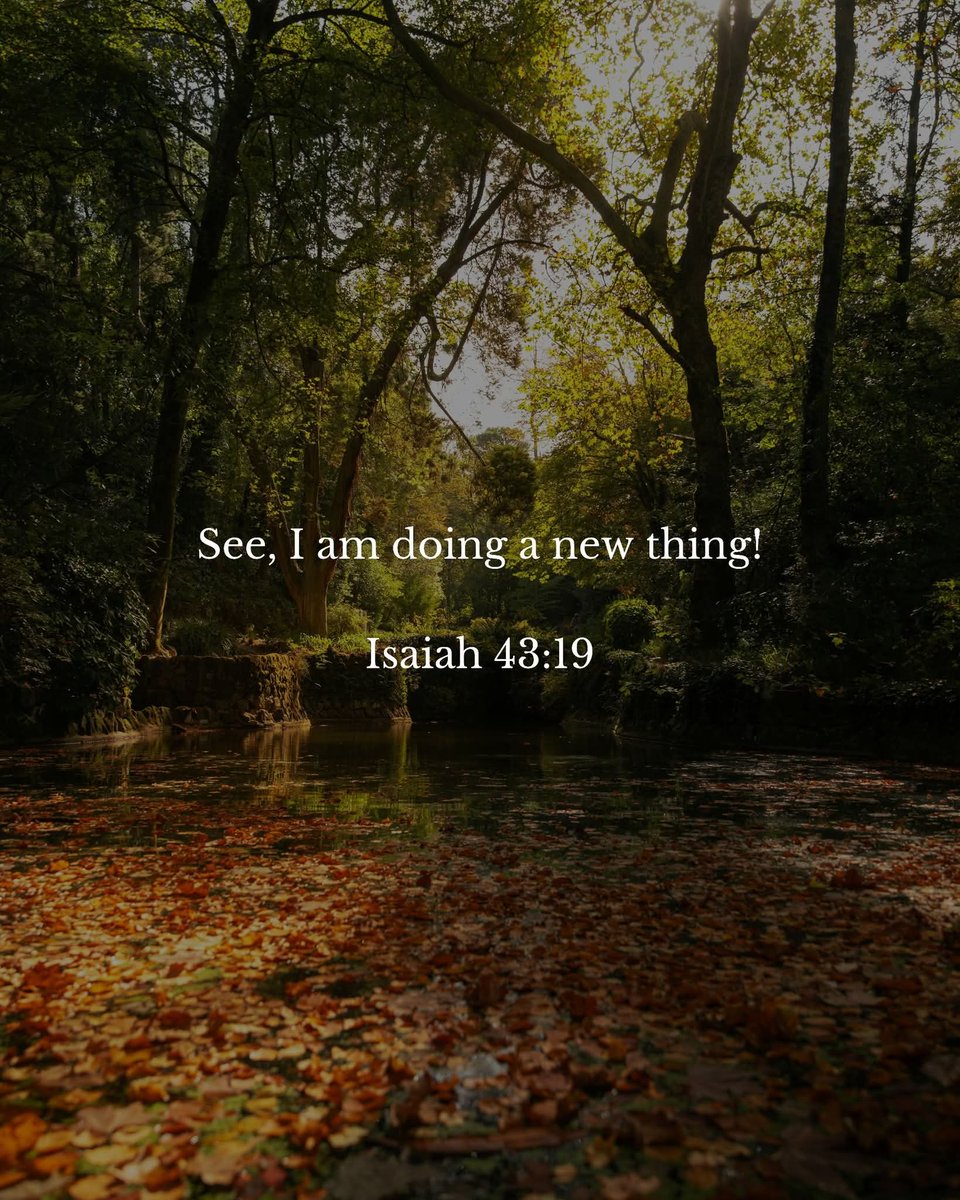 The Bible tweet media