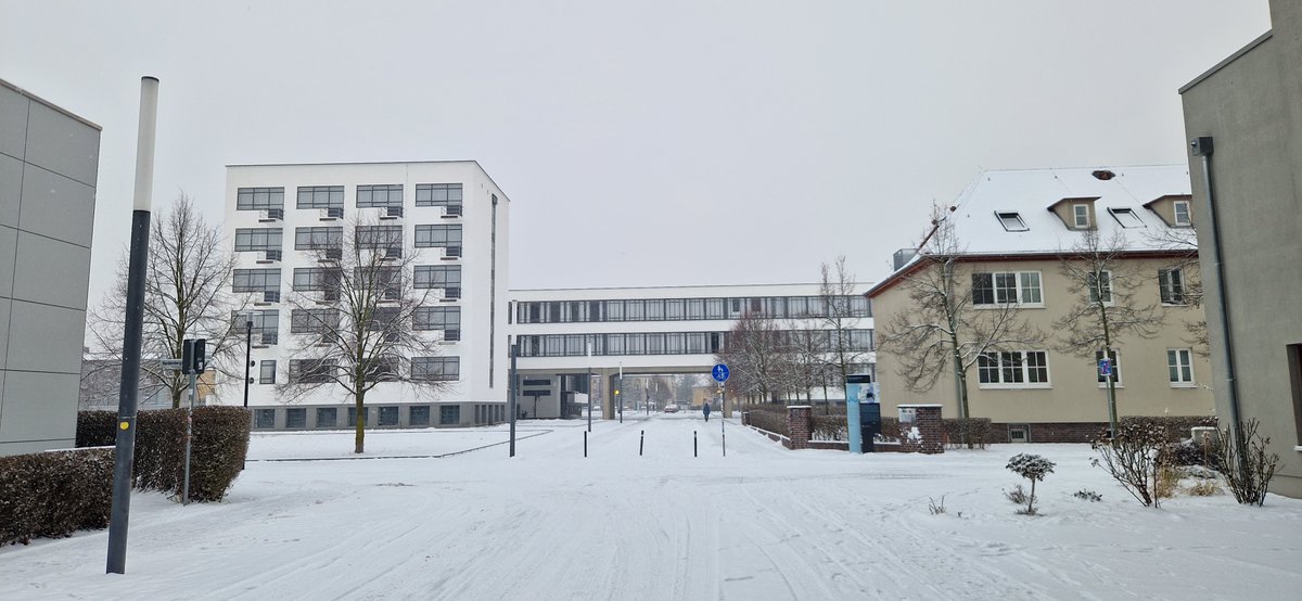 marcusdessau tweet media