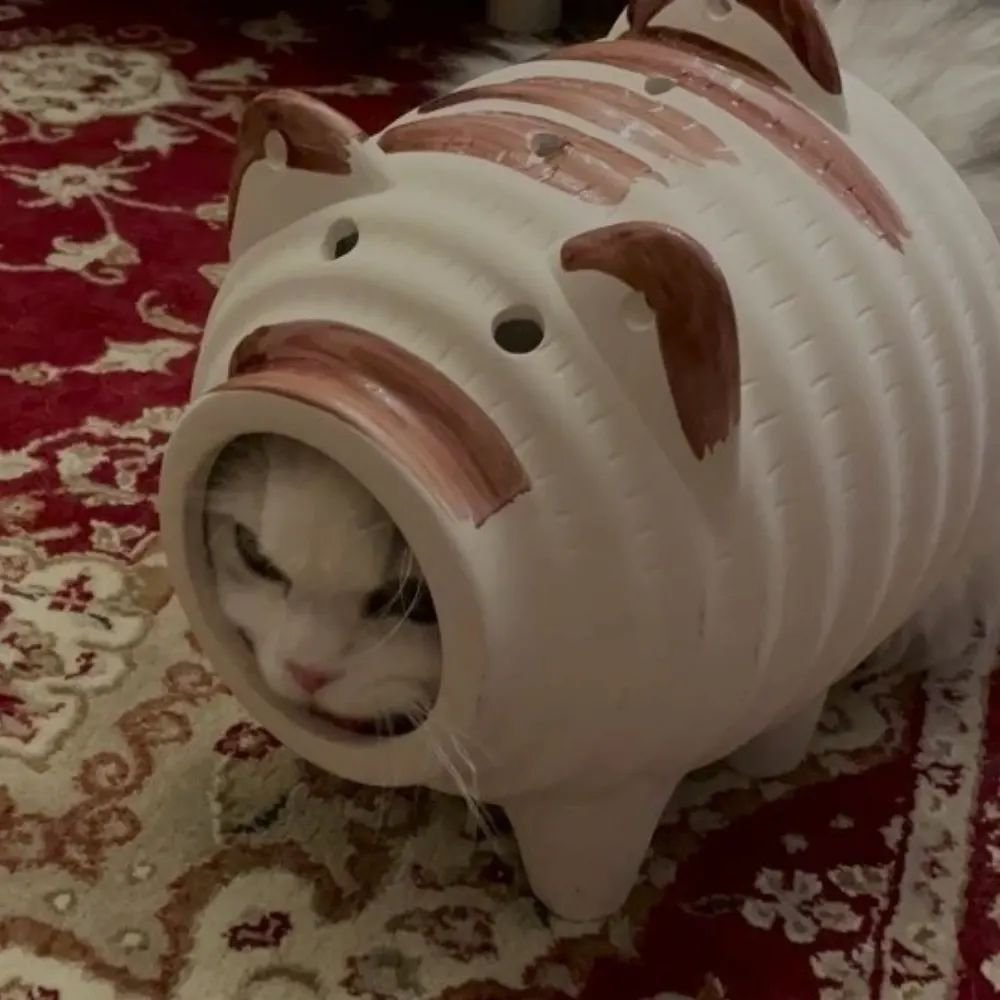 Ну типу хрю