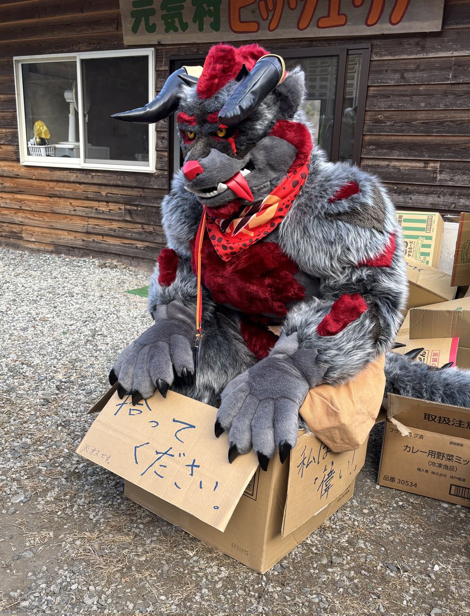 拾ってください！
#FursuitEveryday