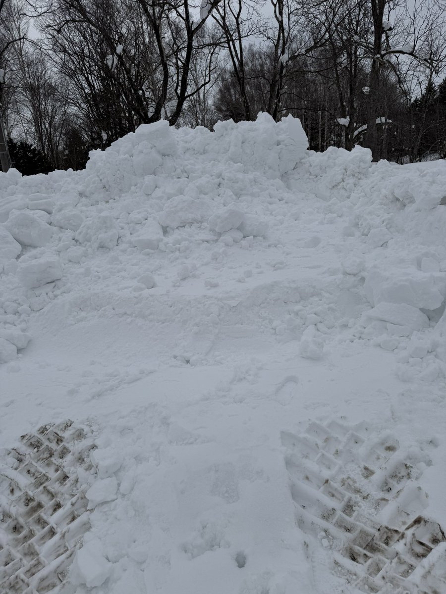 雪を乗り越えて恩根内の公園へ 小屋の所まで行ってみたけど鳥ちゃんの