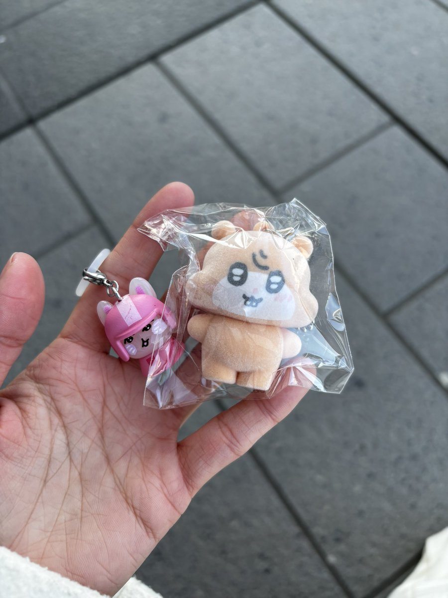 ぴ⚠️DM通知不良 tweet media