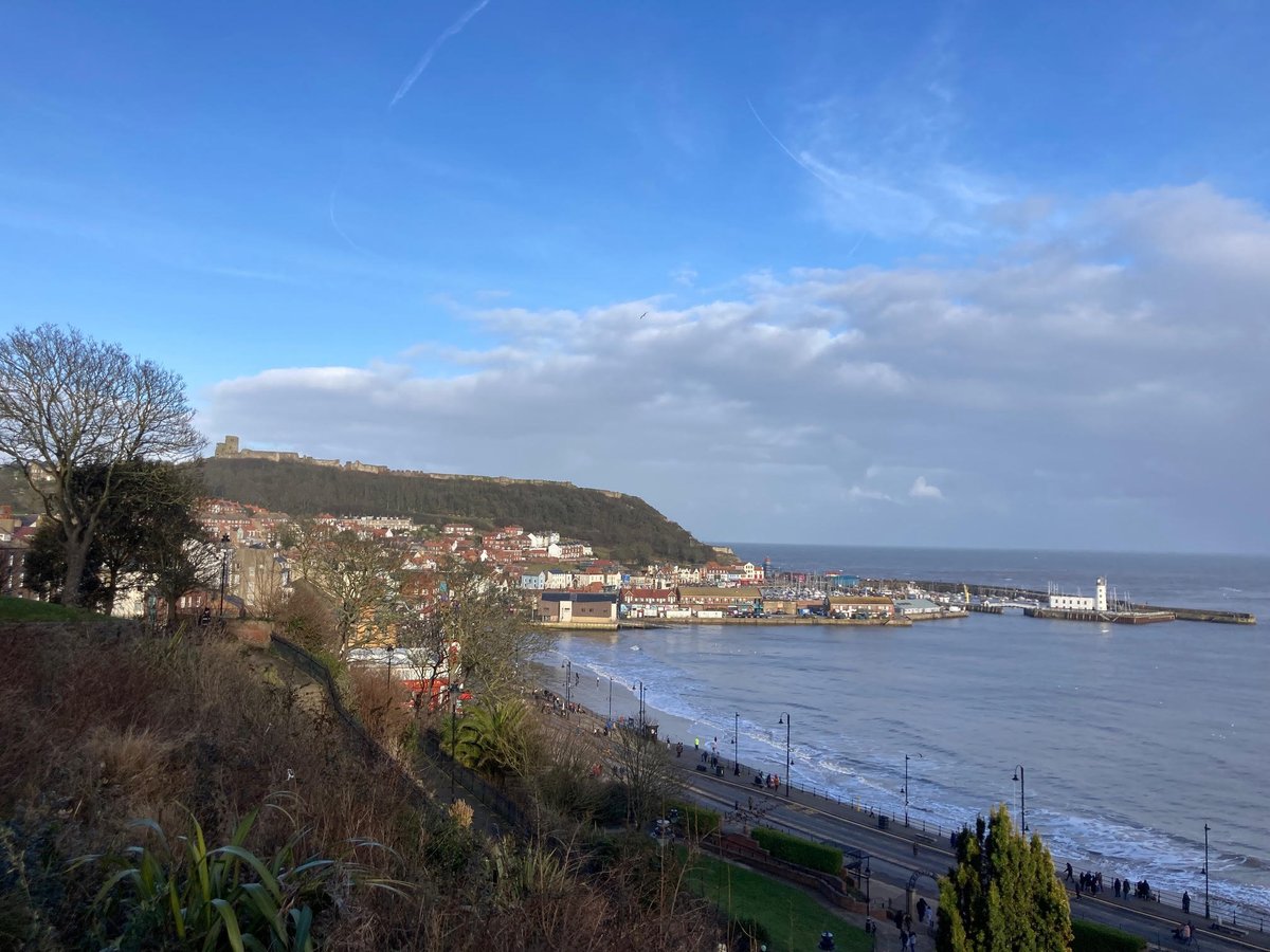 Faith Young Writer tweet media