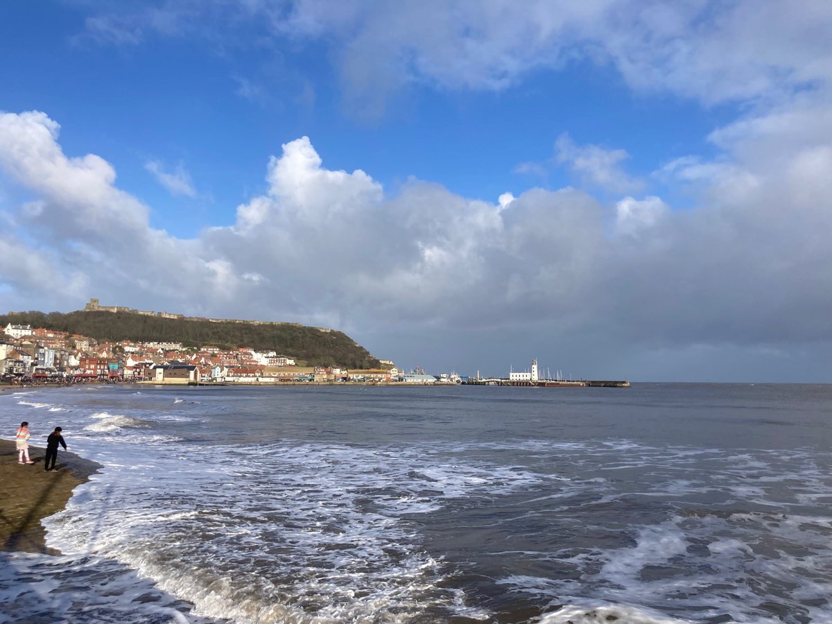 Faith Young Writer tweet media