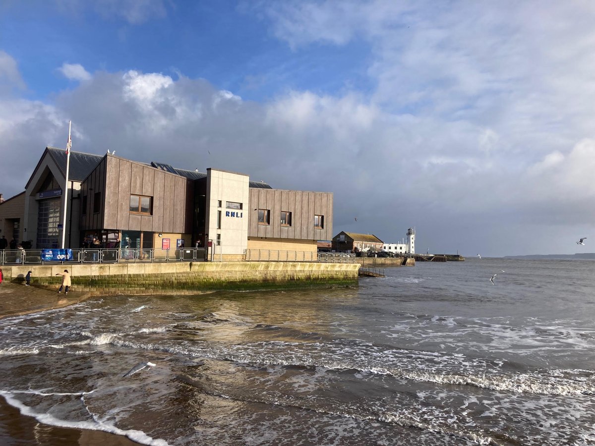 Faith Young Writer tweet media