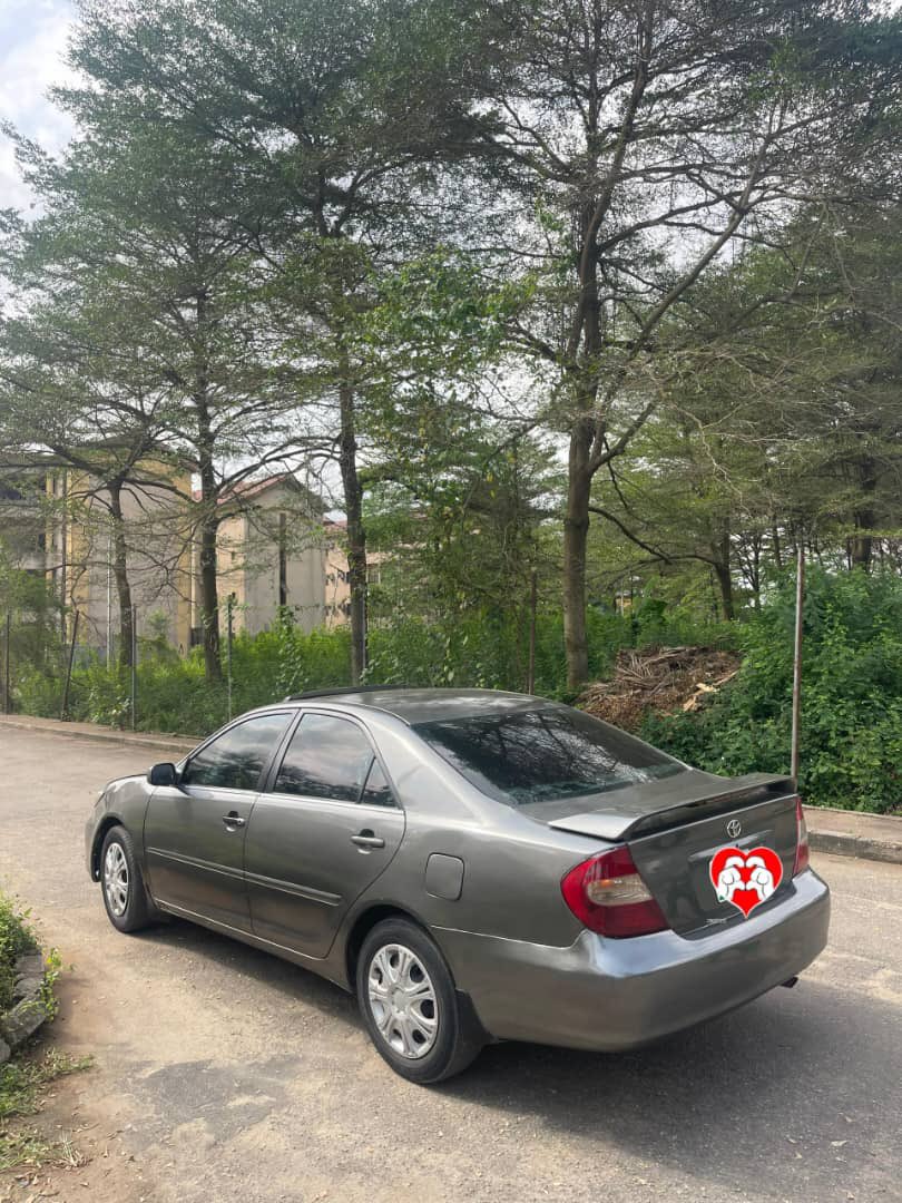 B¹G ZIM tweet media