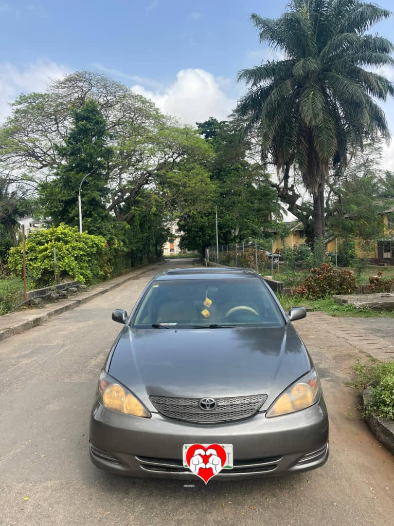 B¹G ZIM tweet media