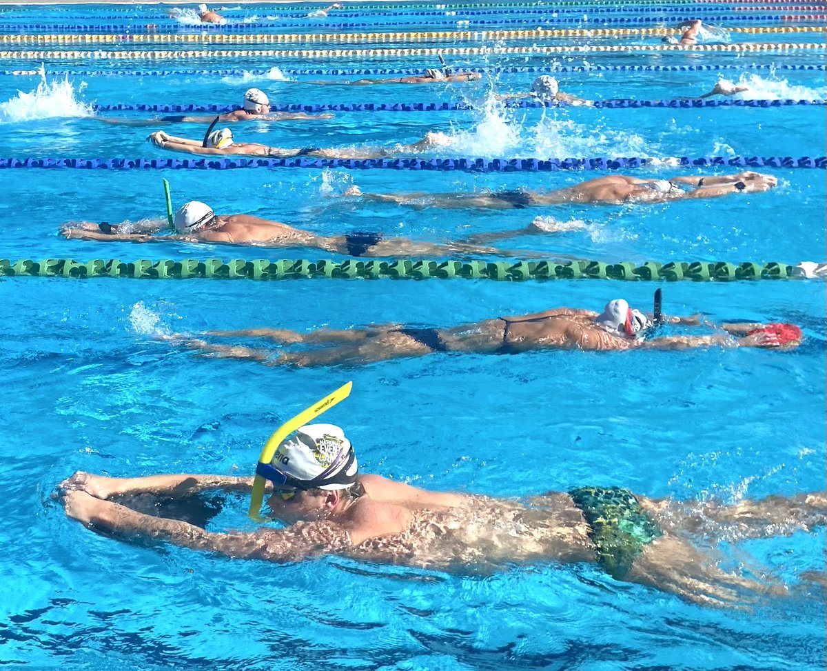 Swimming Australia tweet media