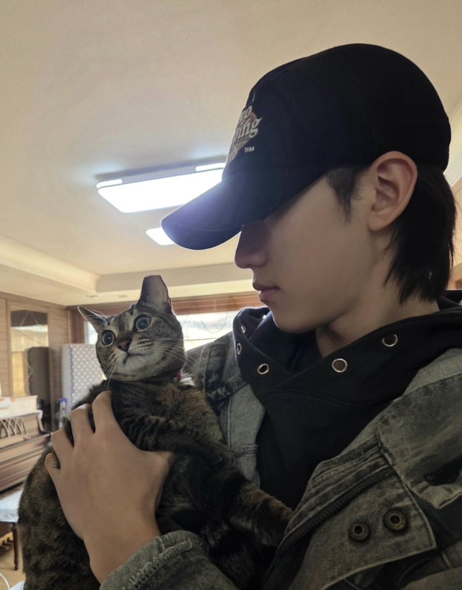 dogseokjoon's tweet photo. 석준치타왔다........ X발 이게명절이지이게설이지 아어떡해제발 https://t.co/KdjSNKkgNr