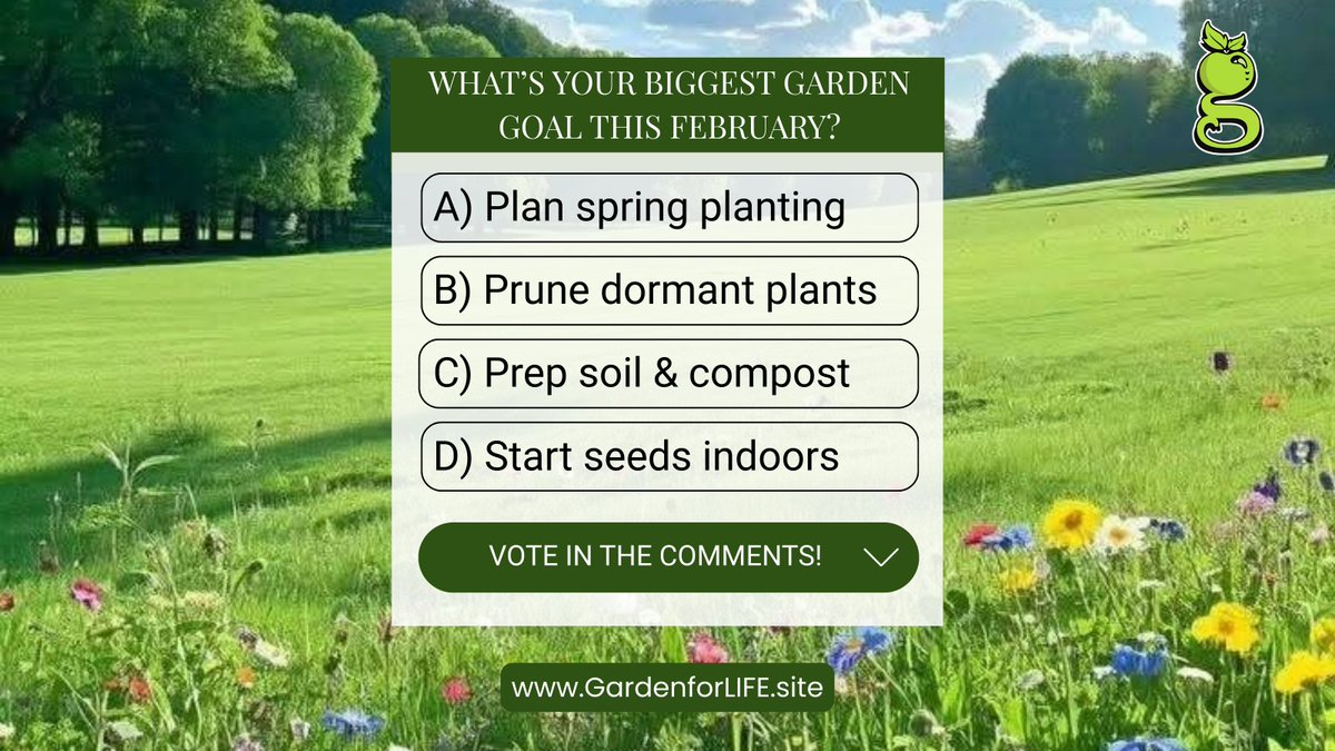 GFLmovement's tweet image. What’s your biggest garden goal this February?

A, B, C, or D — vote in the comments and tell us why.

Small steps now. Strong harvest later.

#GardenforLIFE #FebruaryGarden #GardenGoals #GrowYourOwnFood