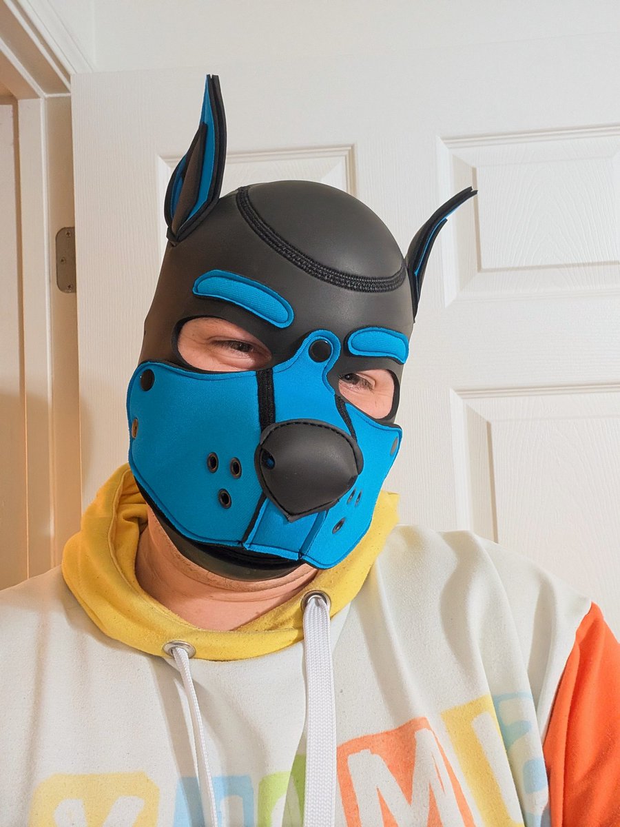 Dan 🔜 CAP26 tweet media