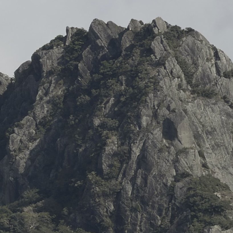 azami 星洛薊野 | singer & topliner |意識載體冬眠中 tweet media