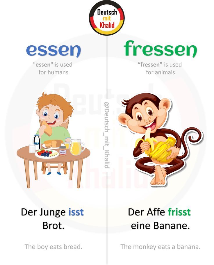 TGLSDelhi's tweet photo. *Credit: Deutsch mit Khalid*
#LearnGerman #DeutschLernen #Wortschatz #Deutsch #DaF #German #LearningGermanIsFun #TGLS #GermanLanguage #Polyglot https://t.co/vgSd5s0G7V