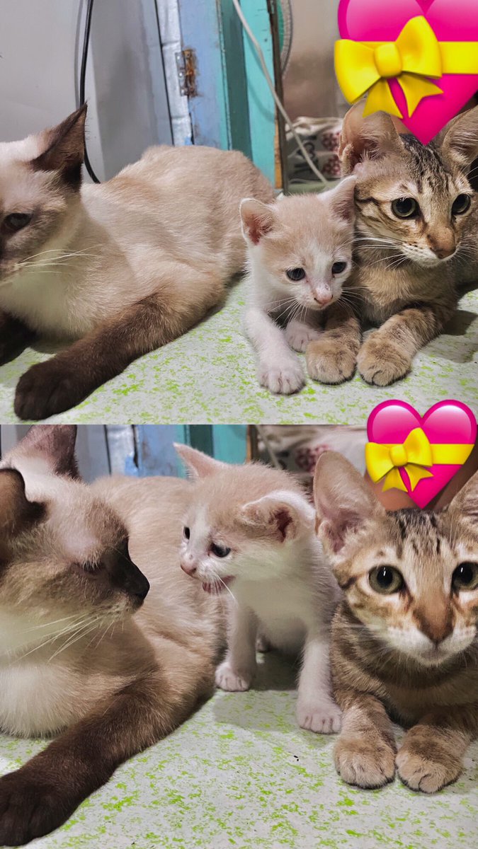 yumiko (@yumikokatsuki) / Posts / X