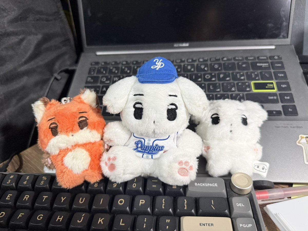 oripupu's tweet photo. wts lfb aespa winter ph
jikjik dolls 
— 500 | 750 | 500 + lsf 
— prio taking more 
— rfs: quitting
— onhand &amp; x to sensi

t. wts lfb ph aespa winter jikjik fox sitting dolls https://t.co/F9iufQUTIq