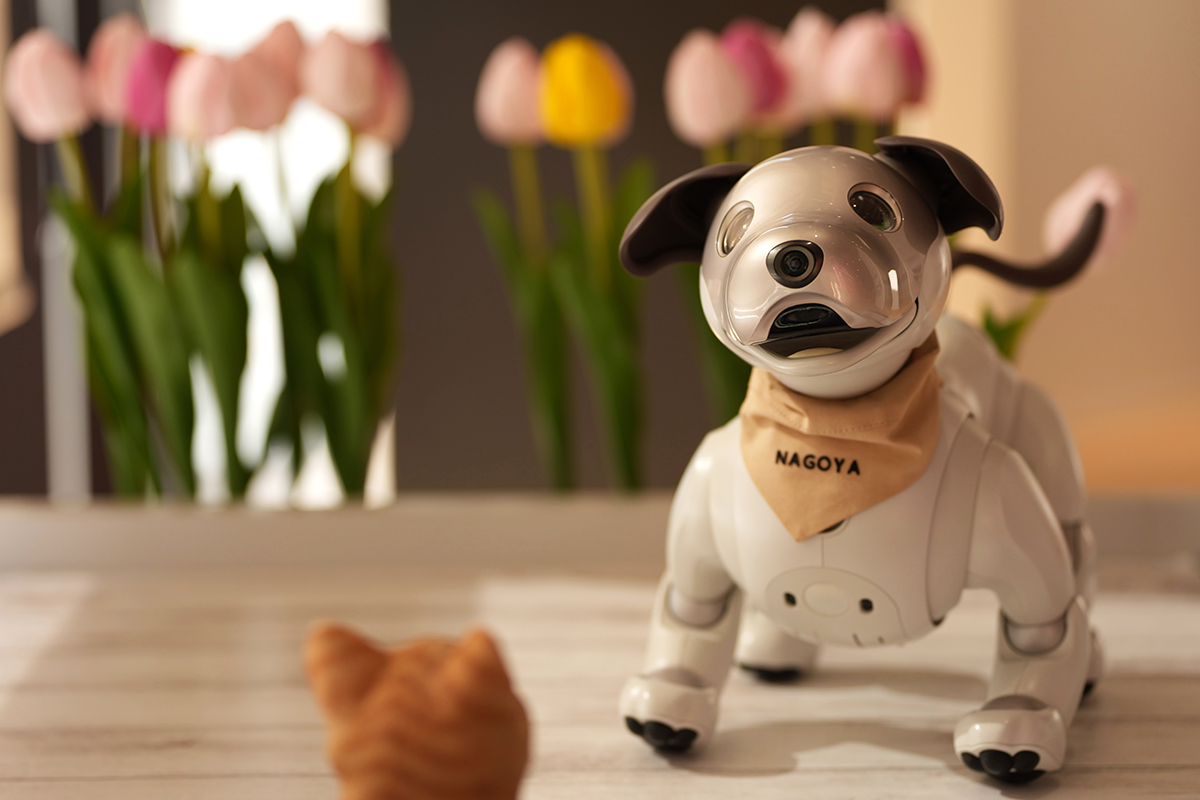 aibo (@aibo_jp) / Posts / X