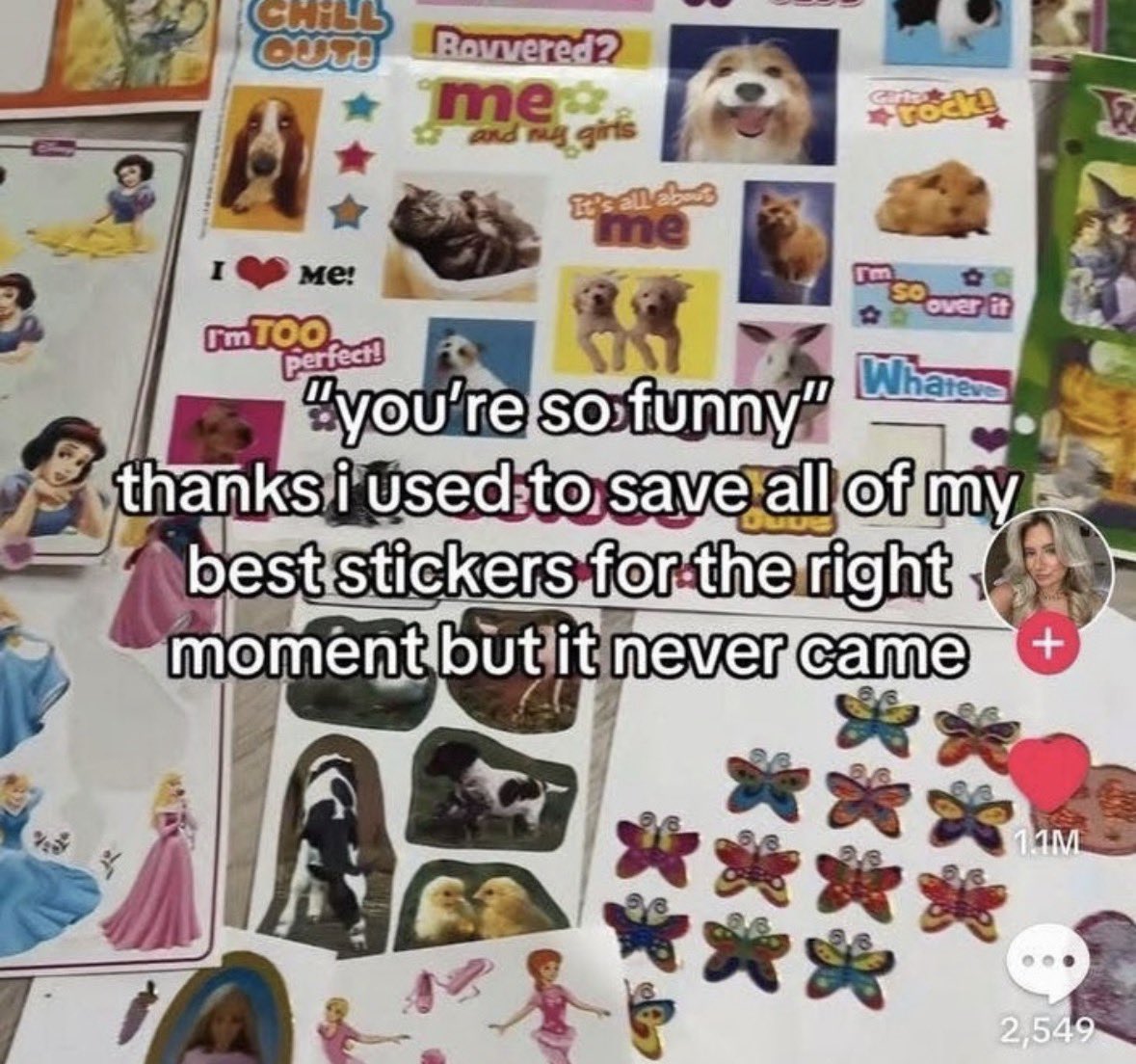 RespectfulMemes's tweet image. 