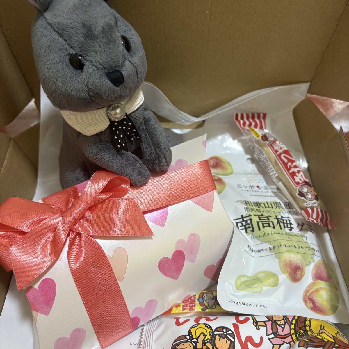 tsugana0315's tweet photo. 追い誕生日プレゼントをもらったのだ✨✌️🎁
美味しい🍪に可愛いハンカチ🩰👗
ありがとうございますなのだ！ https://t.co/1rZnCeIF2K