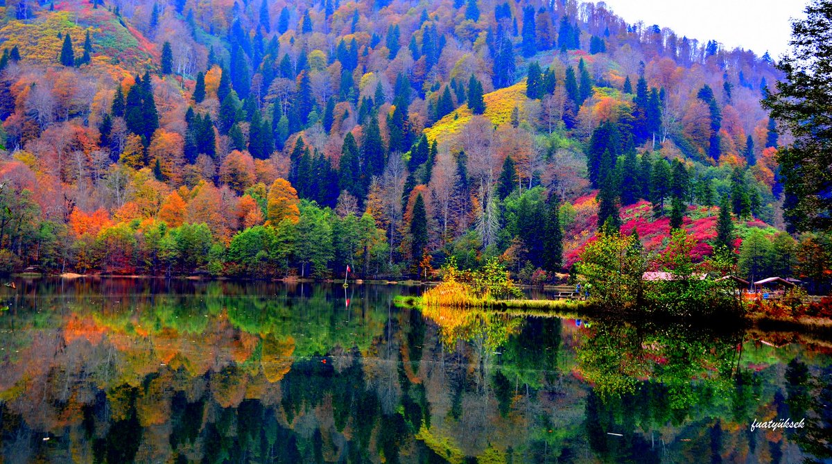 Bu güzellik “maden sahası” değil, yaşam alanı. Artvin 25 yıldır “maden istemiyoruz” diyor; cevap: ruhsat, kesim, talan. Cerattepe bunun simgesi oldu.

Ne yazık ki ülkenin geneli de bu halde.

Toprağın üstü altından değerlidir. Doğa yoksa gelecek yok. Artvin’den elinizi çekin.