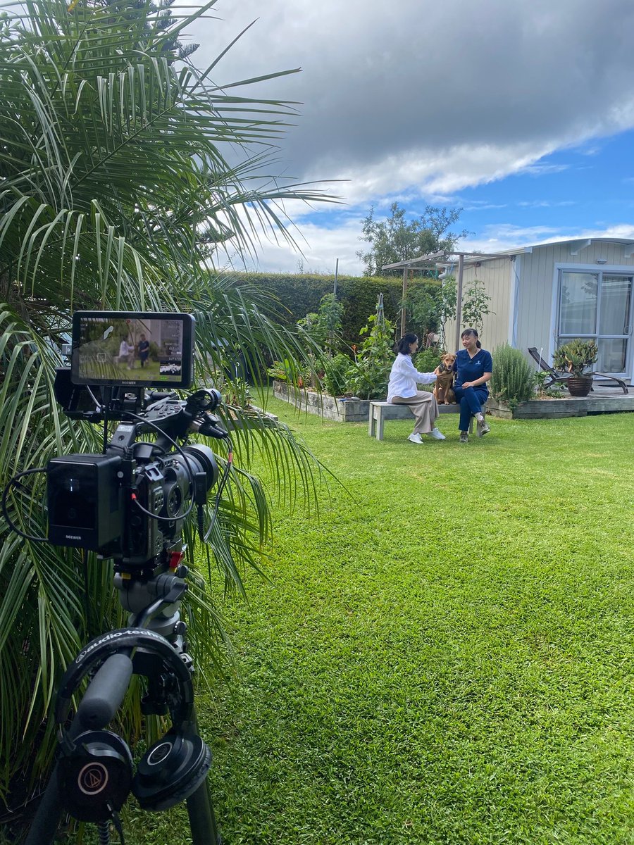 Channel 31 tweet media