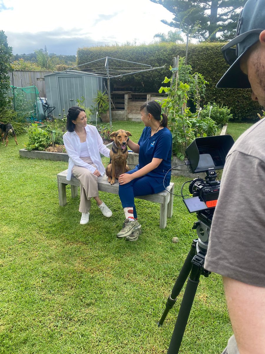 Channel 31 tweet media