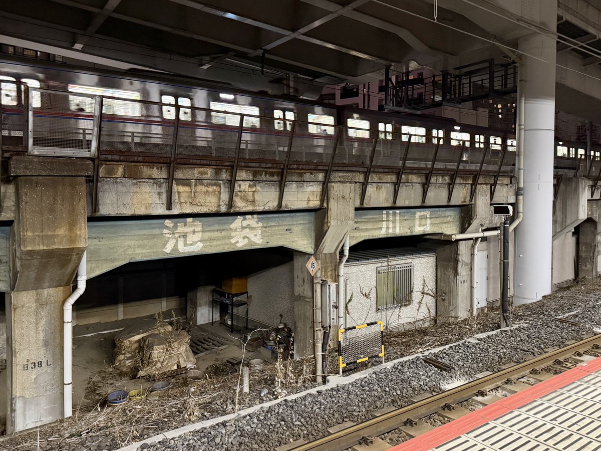 春ちゃんの卓球&グルメ&ゲームアカ tweet media