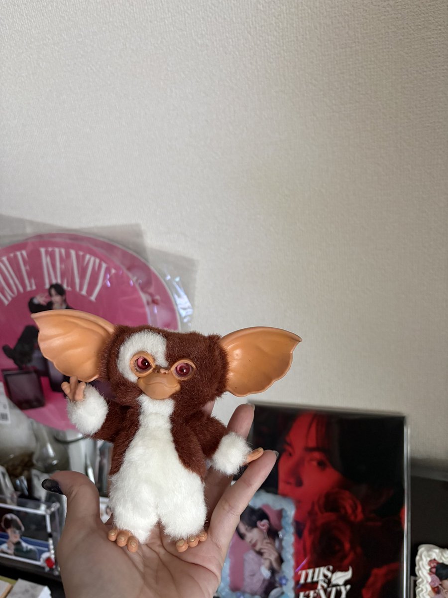 ギズモ (@mog_giz) / Posts / X