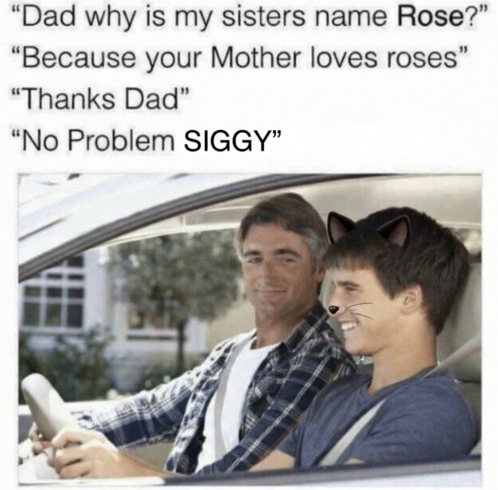 Raintaro_ (❖,❖) tweet media