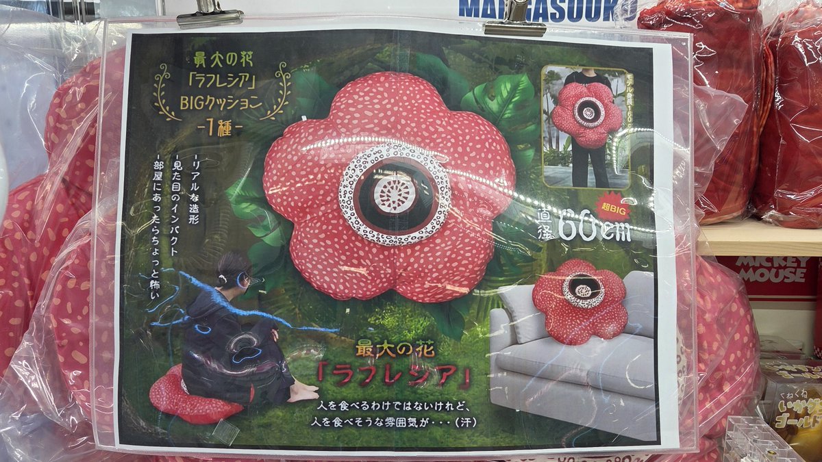 最大の花「ラフレシア」BIGクッション』投入中✨️ 部屋に置けば