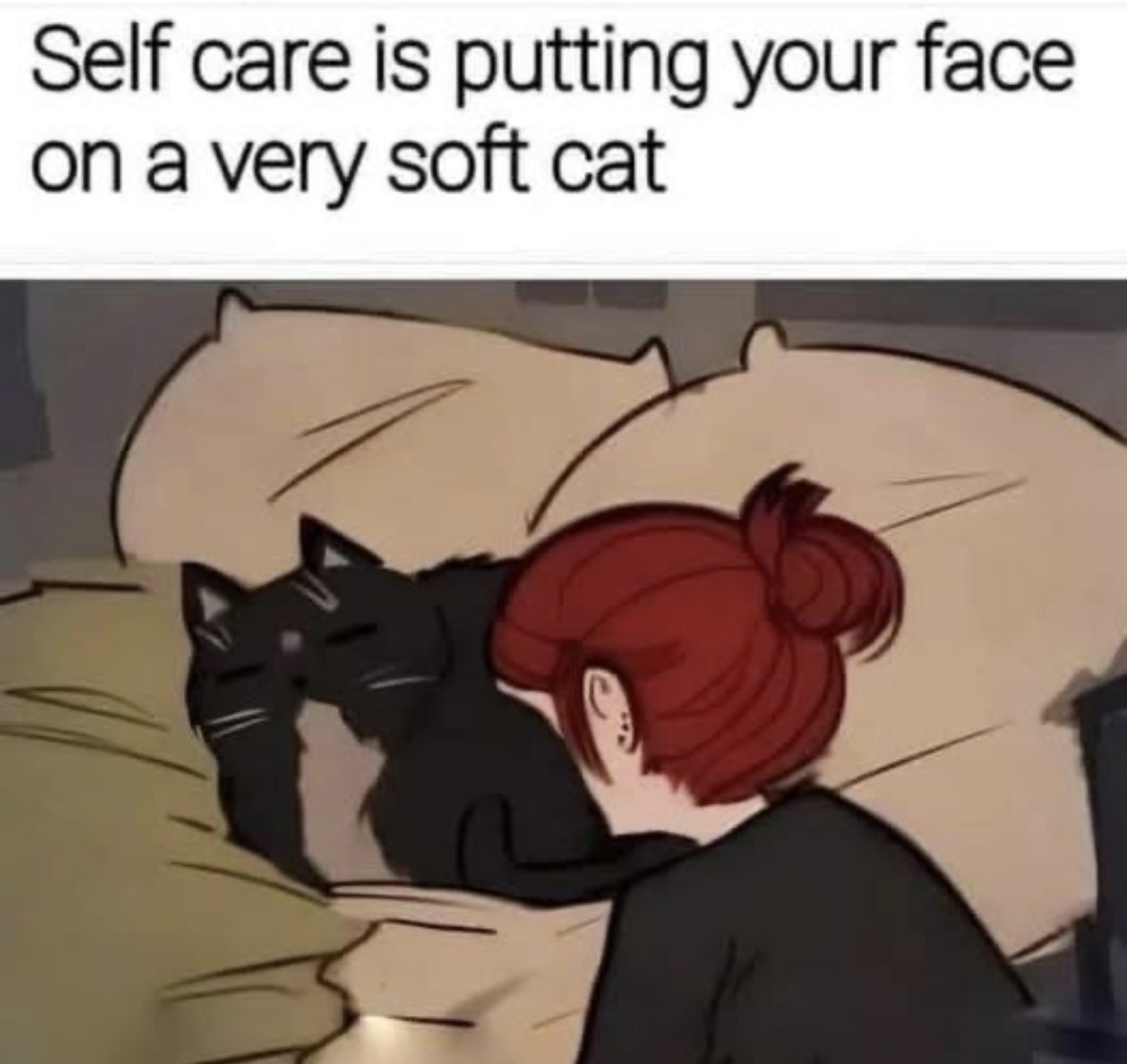 Respectful Memes (@respectfulmemes) on Twitter photo 