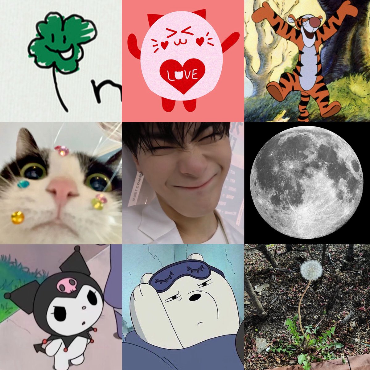 some of my moonbin variants <3