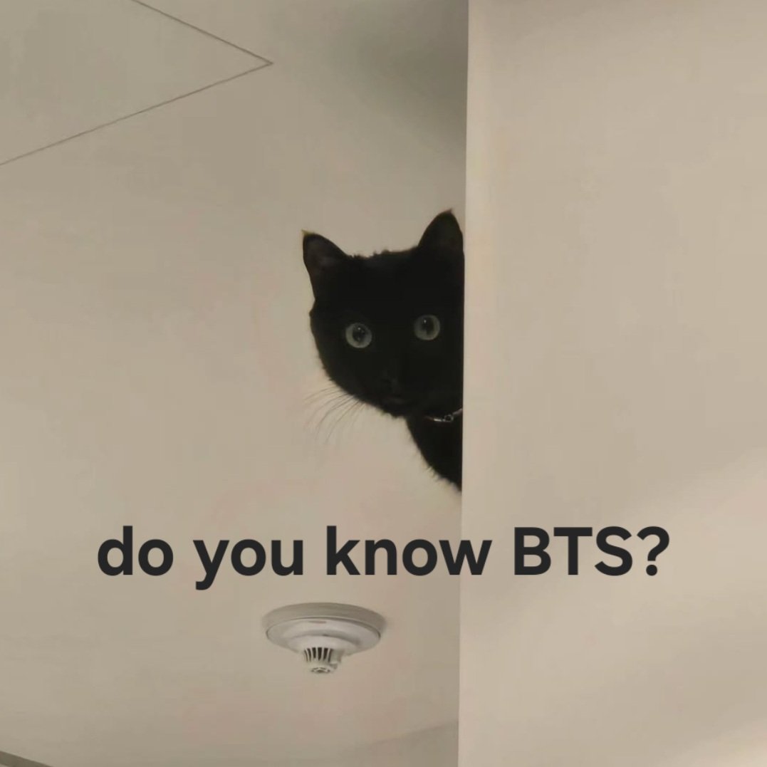 MH81⁷👻💜🄱🅃🅂 🅈🄴🄰🅁 (@__mh__81) on Twitter photo 