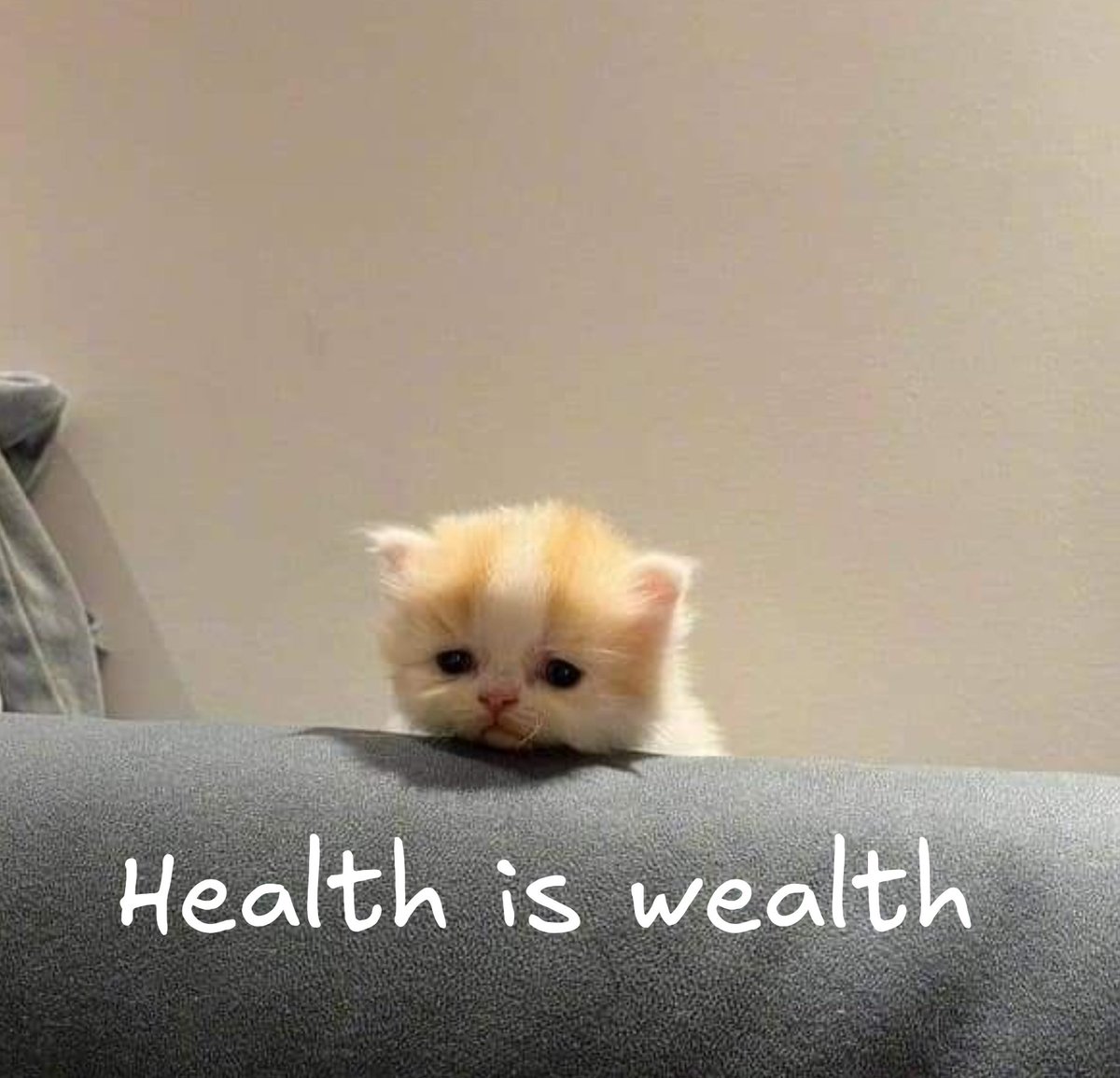 J A Z I I tweet media